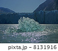 氷河の前に浮かぶ氷１ 8131916