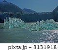 氷河の前に浮かぶ氷２ 8131918