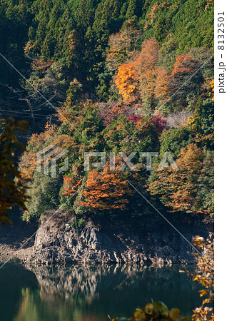 矢作ダムと紅葉 矢作ダムと紅葉 8132501