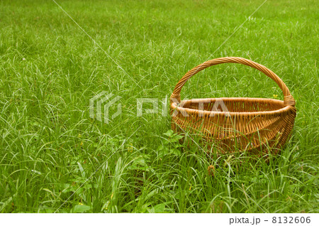 basket 8132606