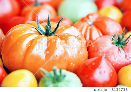 tomato tomato 8132758