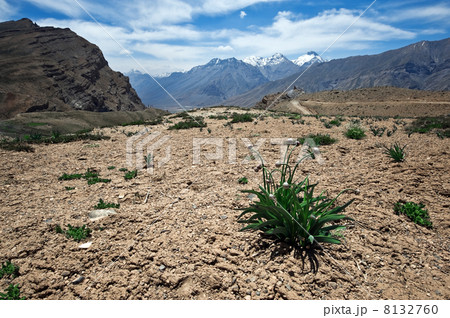 himalayas 8132760