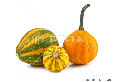 pumpkin pumpkin 8133061