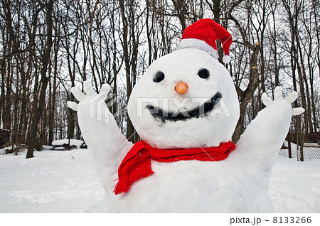 snowman snowman 8133266