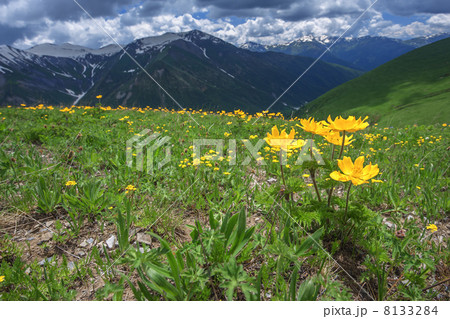 mountain mountain 8133284