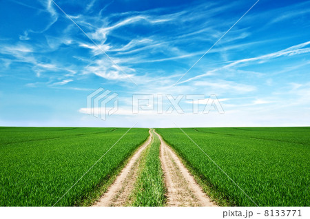 road 8133771