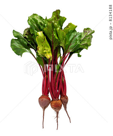 beet beet 8134188