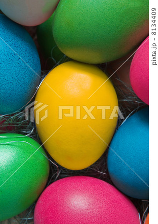 eggs 8134409