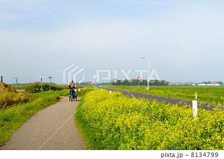Man with his dog at the bike 8134799