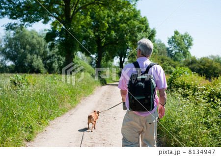 Walking with the dog in nature 8134947