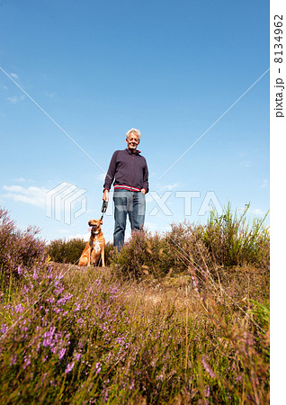 heather landscape heather landscape 8134962