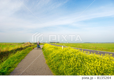 Man with his dog at the bike Man with his dog at the bike 8135264