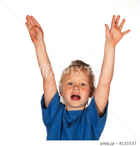 Hurray Hurray 8135537