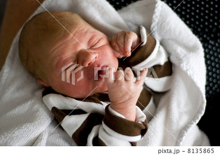 Just born baby 8135865