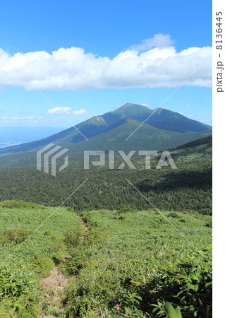 三ツ石山の山道から眺めた岩手山 三ツ石山の山道から眺めた岩手山 8136445