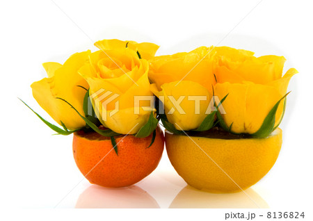 Lemon and tangerine 8136824