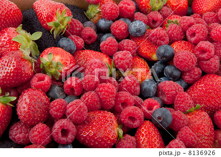 forest fruit 8136926
