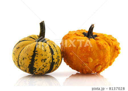 Squashes and pumpkins 8137028