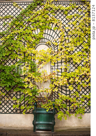 Wall with plant rack 8137124