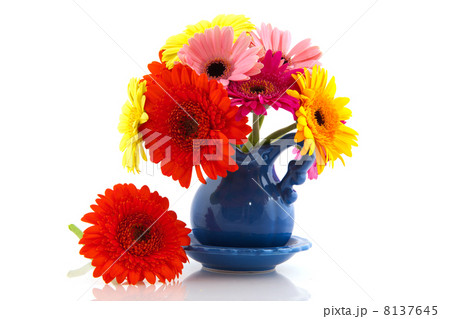 Colorful Gerber bouquet 8137645