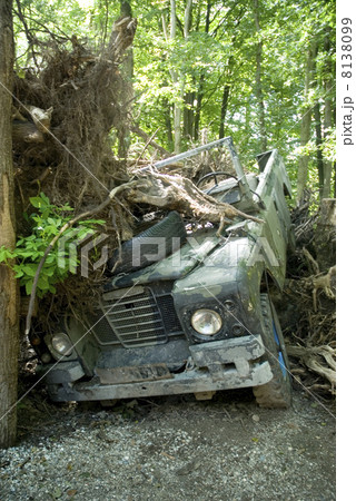 carcrash in the bush carcrash in the bush 8138099