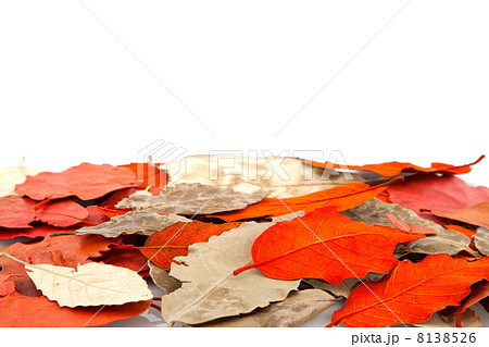 autumn leaves 8138526