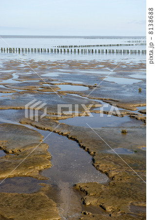 Mudflat Mudflat 8138688