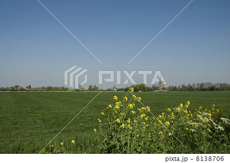 Landscape with windmill 8138706