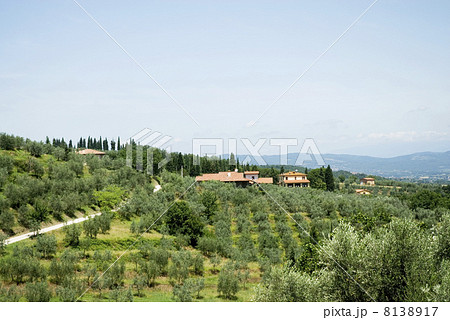 Traditional landscape Traditional landscape 8138917