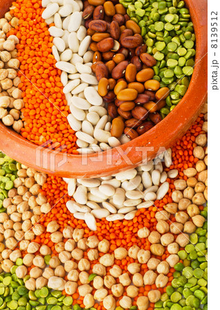 Legumes 8139512