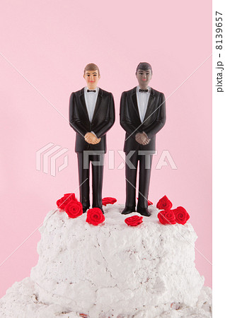 Homo wedding cake 8139657