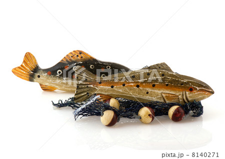 Fishes and net 8140271