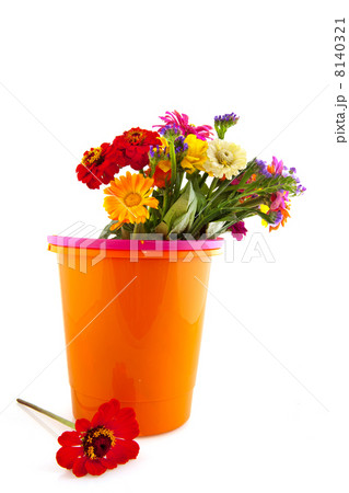 Colorful flower bouquet in bucket 8140321