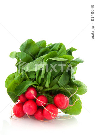 Freshness radish Freshness radish 8140649