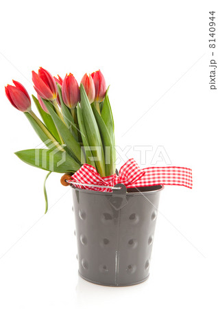 bouquet red tulips bouquet red tulips 8140944