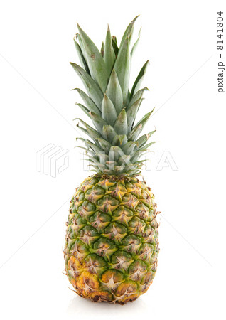 tropical pineapple 8141804
