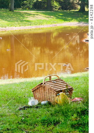 Picnic basket in summer Picnic basket in summer 8142298