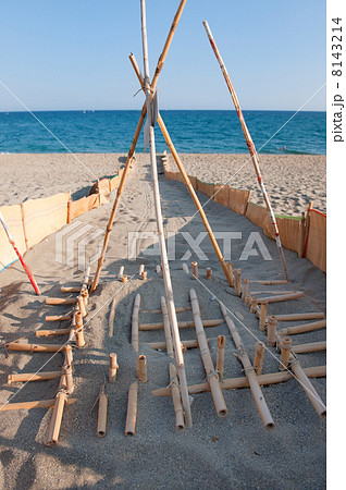 Save the turtles at the beach 8143214
