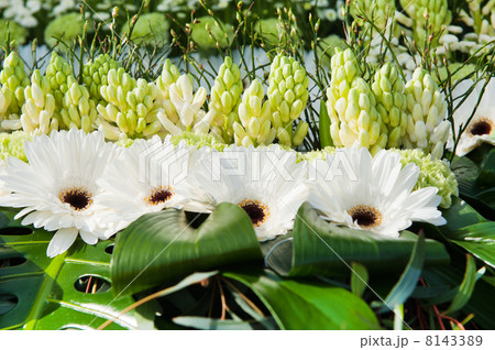 White flower arrangement White flower arrangement 8143389
