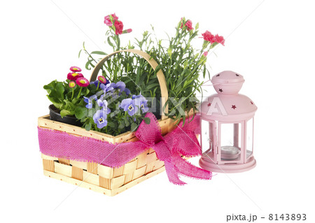 Basket garden flowers Basket garden flowers 8143893