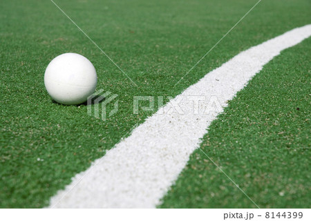 hockey 8144399