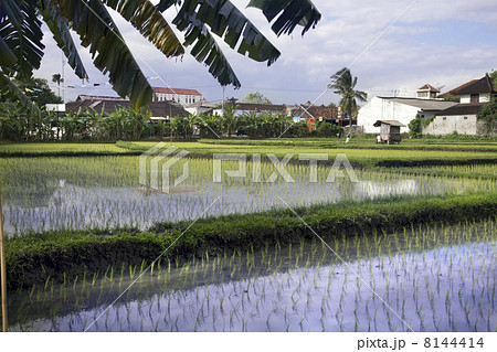 Indonesian village 8144414