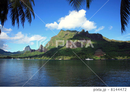 tropical French Polynesia tropical French Polynesia 8144472