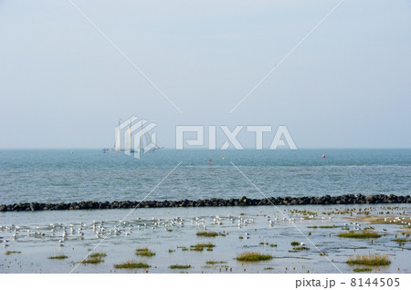 Coast with sailboat 8144505