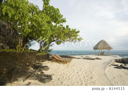 tranquil tropical scene 8144515