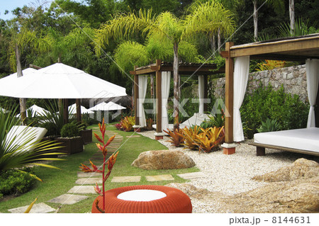Garden from the hotel 8144631