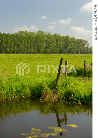 Dutch landscape 8144644