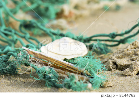 Fishing net and shells Fishing net and shells 8144762
