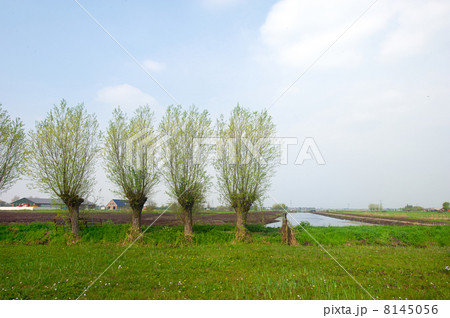 Dutch agriculture landscape 8145056