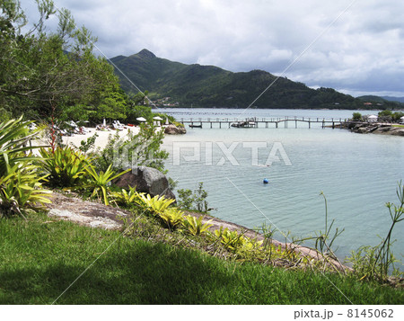 relaxing at the Brazil beach relaxing at the Brazil beach 8145062